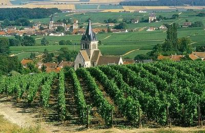 勃艮第---法國葡萄酒的皇后